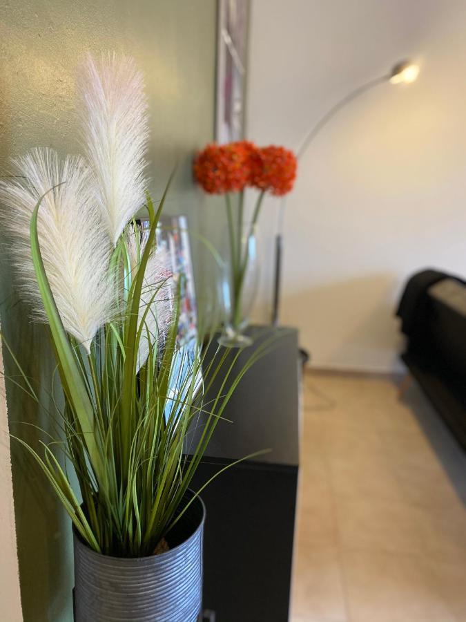 Appartements Vue Mer Saint-Florent  Kültér fotó